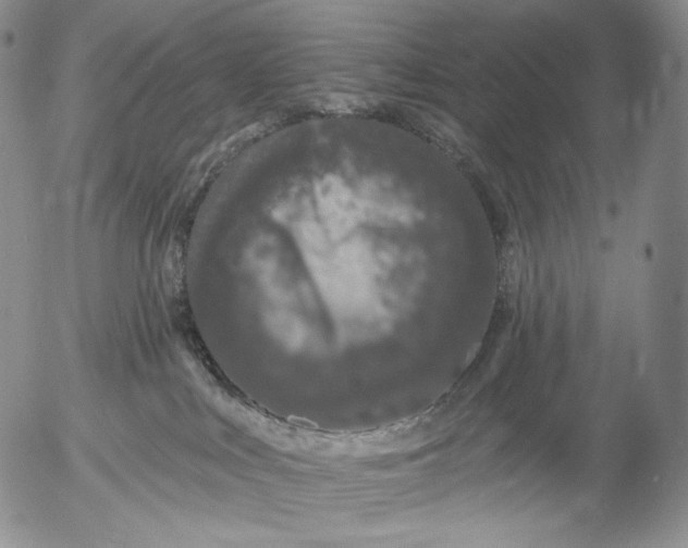 X0000052980043200507291603