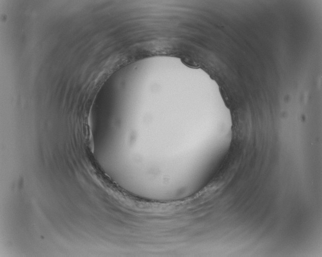 X0000052980044200507291603