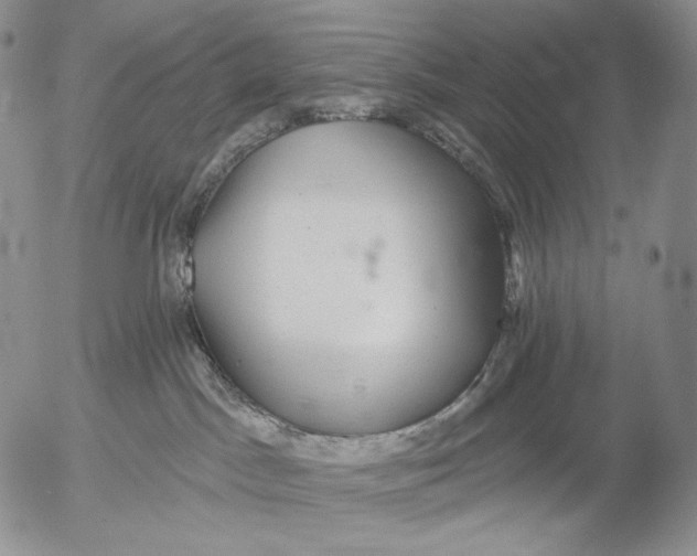 X0000052980045200507291602