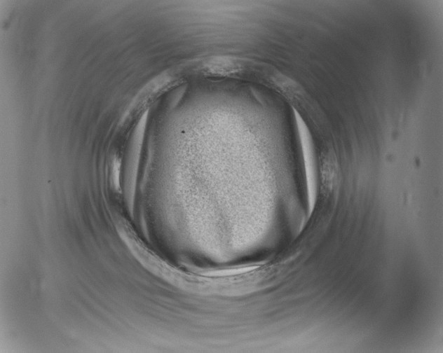 X0000052980046200507291602