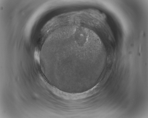 X0000052980047200507291602