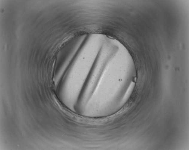 X0000052980048200507291602