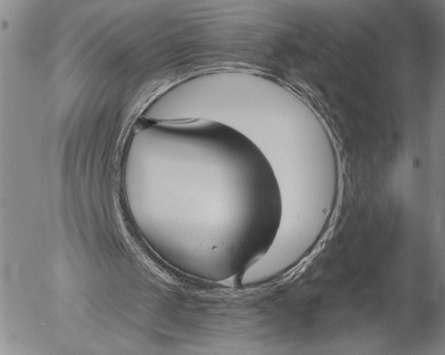 X0000052980049200507291602