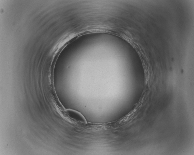 X0000052980050200507291602