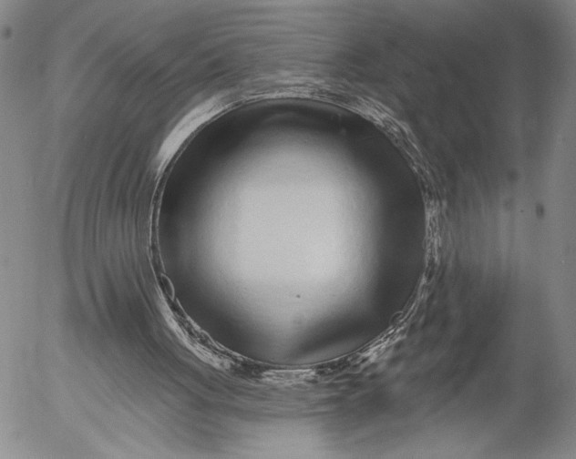 X0000052980051200507291602