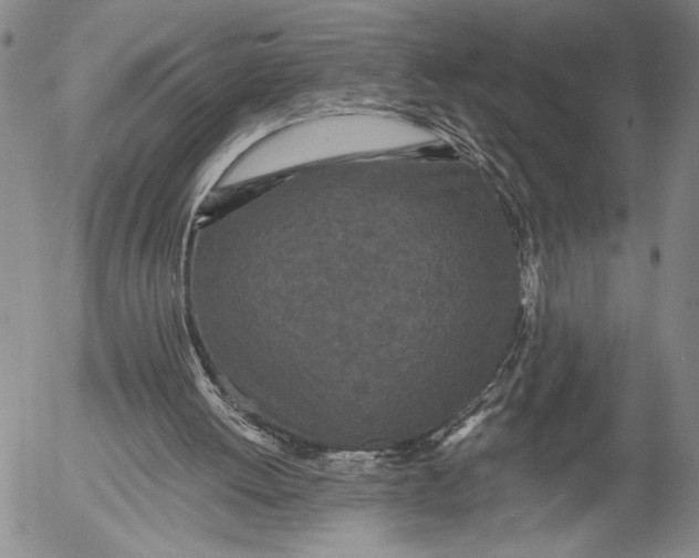 X0000052980052200507291602