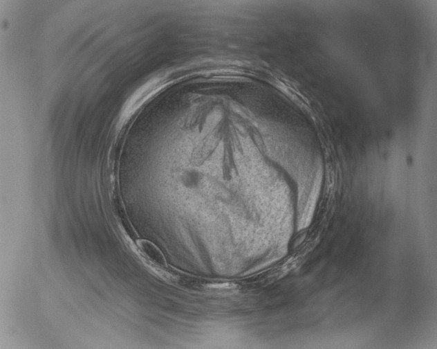 X0000052980053200507291602