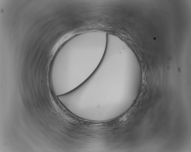 X0000052980054200507291602