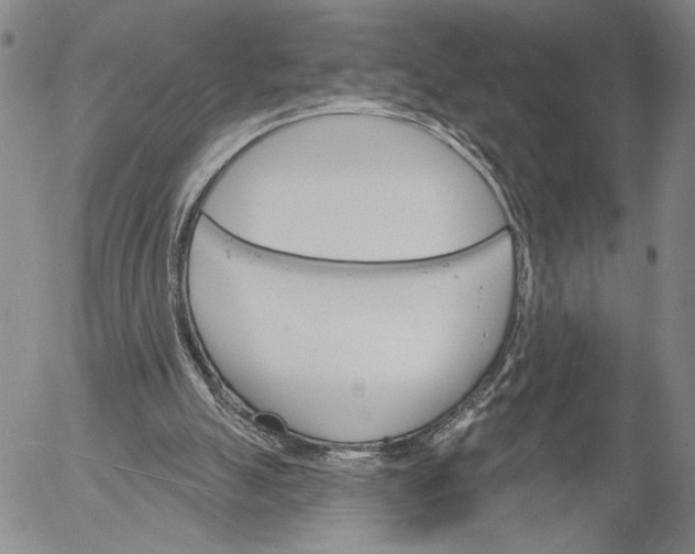 X0000052980055200507291602