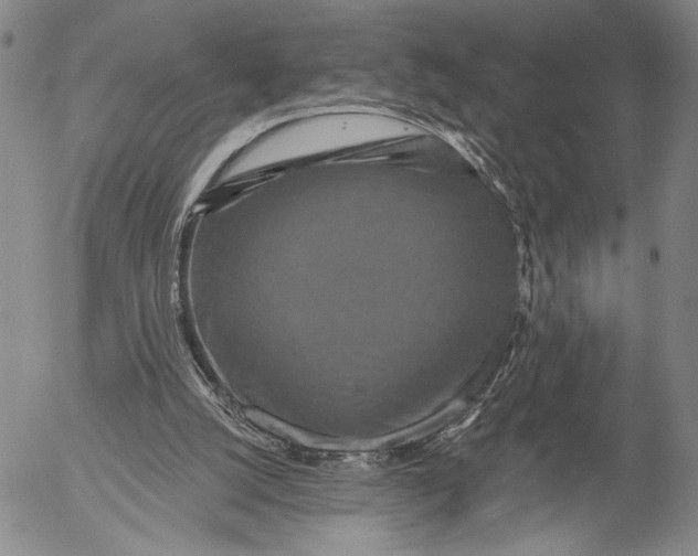 X0000052980056200507291602