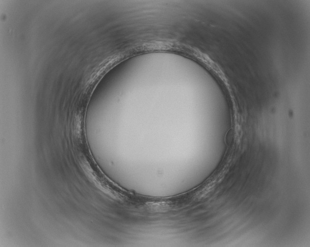 X0000052980057200507291602