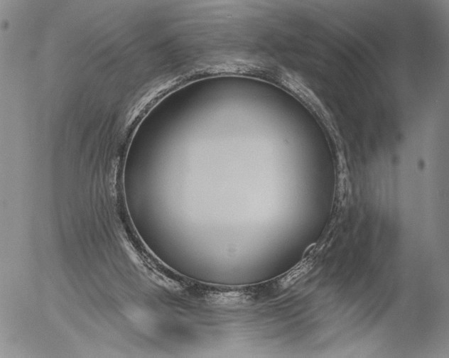 X0000052980058200507291602