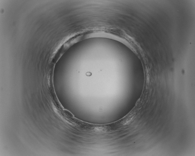 X0000052980060200507291602