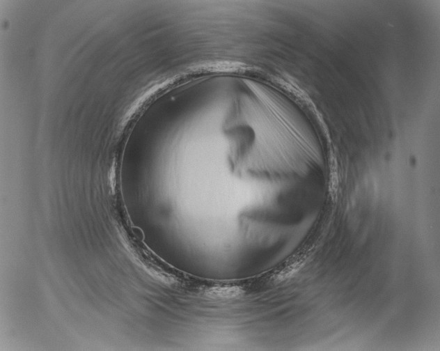 X0000052980063200507291602