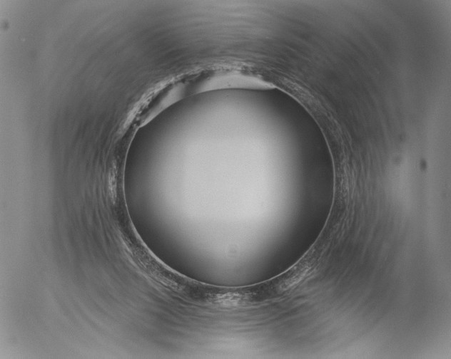 X0000052980064200507291602