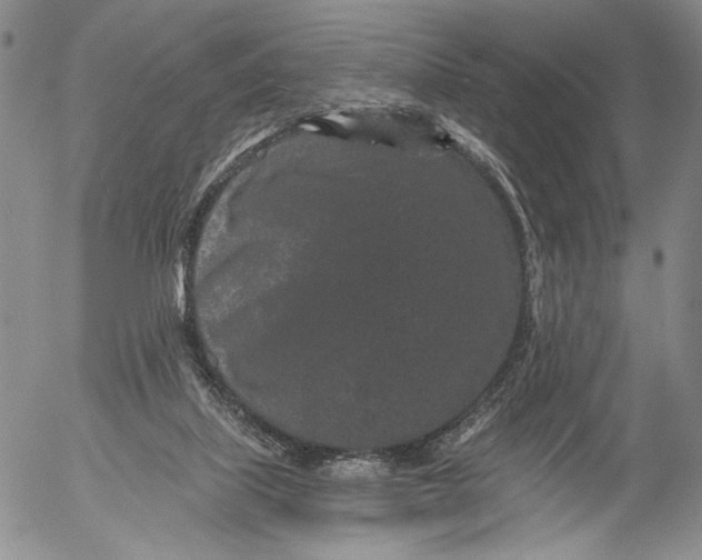 X0000052980067200507291602