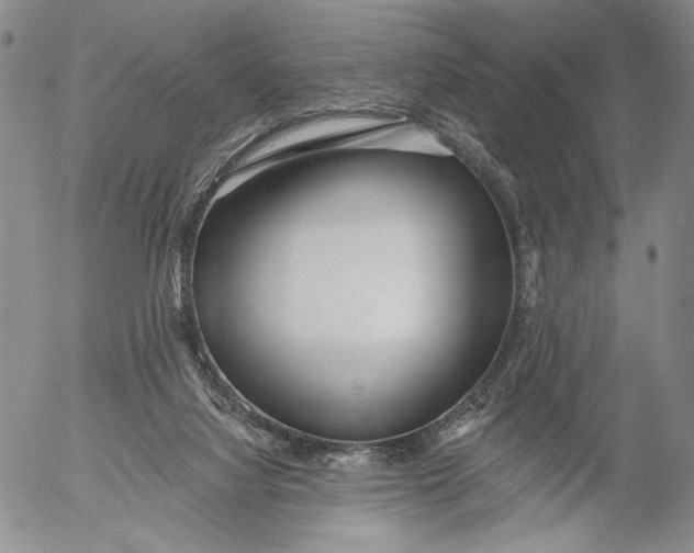 X0000052980068200507291602