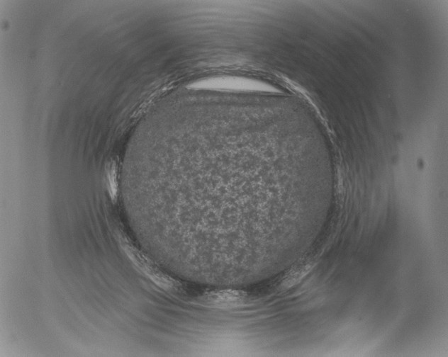 X0000052980069200507291602