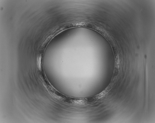 X0000052980070200507291602