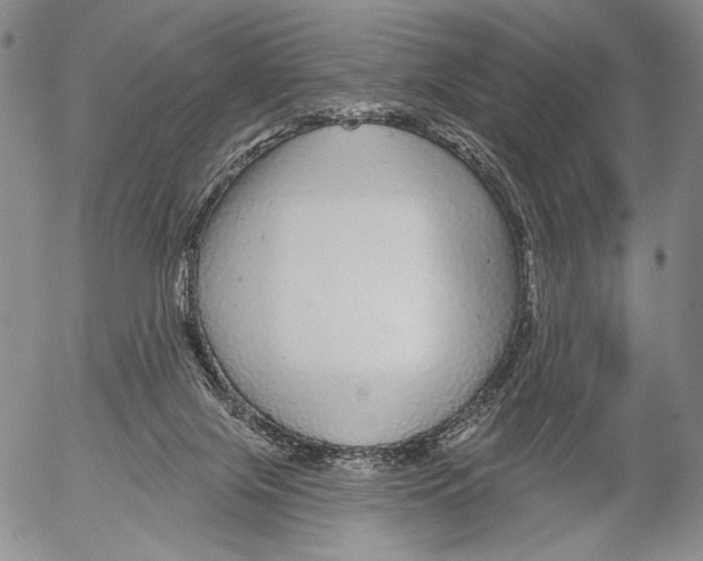 X0000052980071200507291602