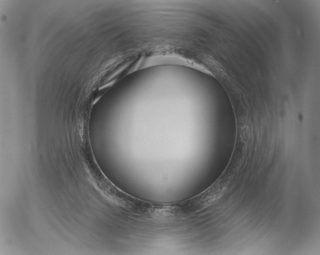 X0000052980072200507291602