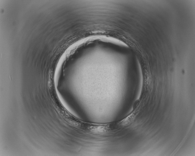 X0000052980074200507291602