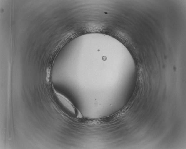 X0000052980075200507291602