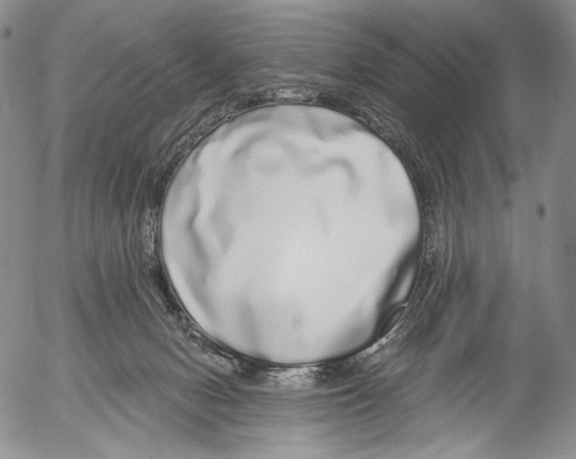 X0000052980078200507291602