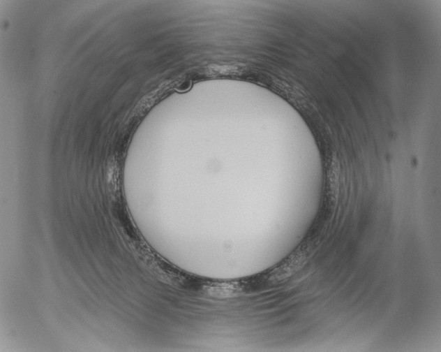 X0000052980079200507291602