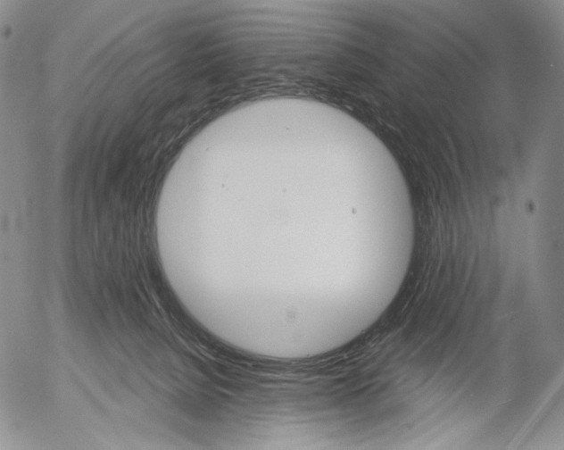 X0000052980080200507291602