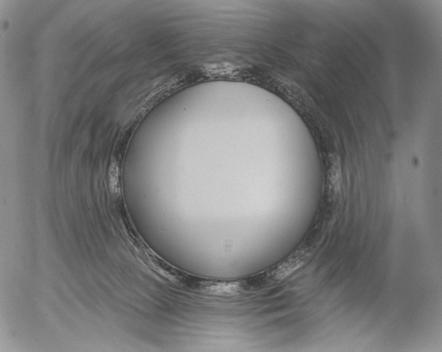 X0000052980081200507291602