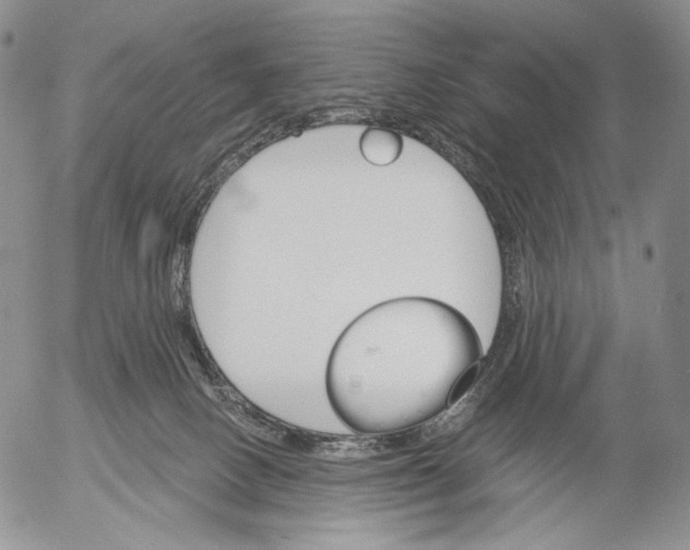 X0000052980082200507291602