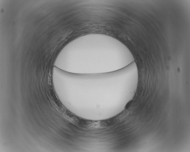 X0000052980083200507291602