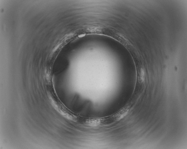 X0000052980084200507291602