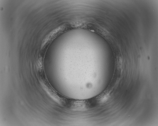 X0000052980085200507291602