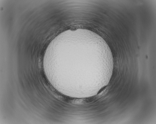 X0000052980086200507291602