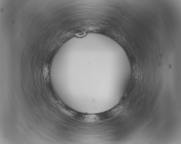 X0000052980087200507291602