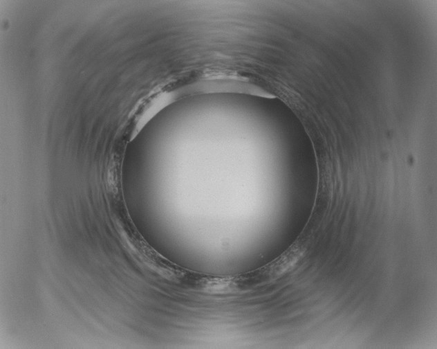 X0000052980088200507291602