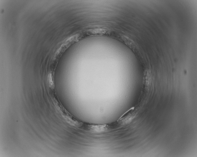 X0000052980089200507291602