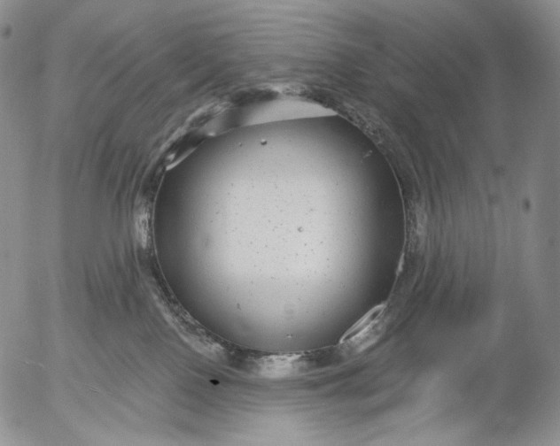 X0000052980090200507291602