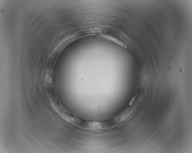 X0000052980091200507291602