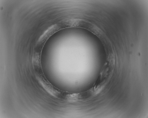 X0000052980092200507291602