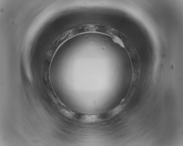 X0000052980093200507291602