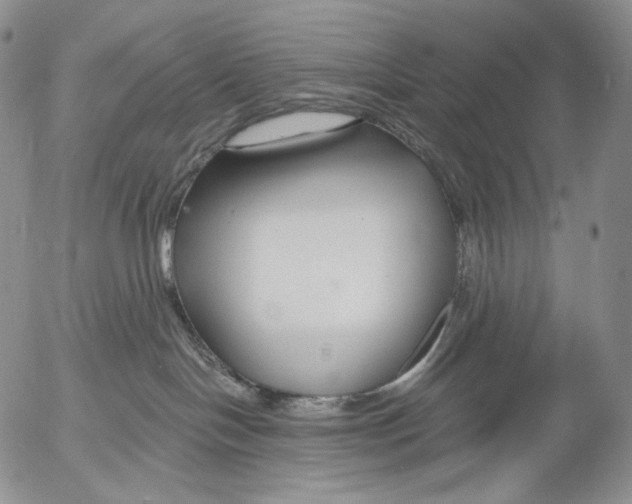 X0000052980094200507291602