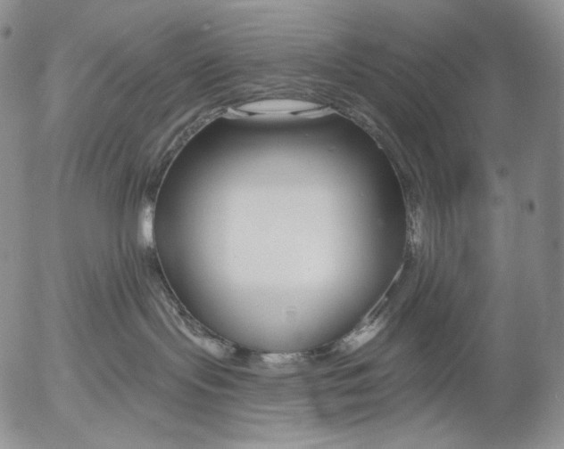 X0000052980095200507291602