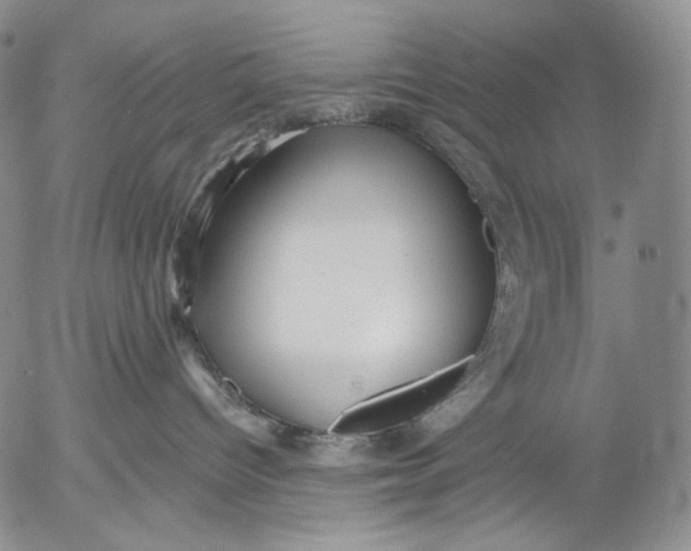 X0000052980096200507291602