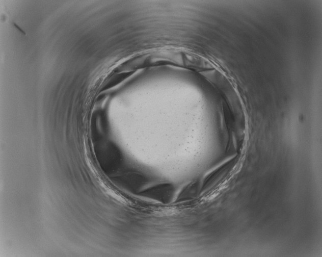 X0000052980097200507291602