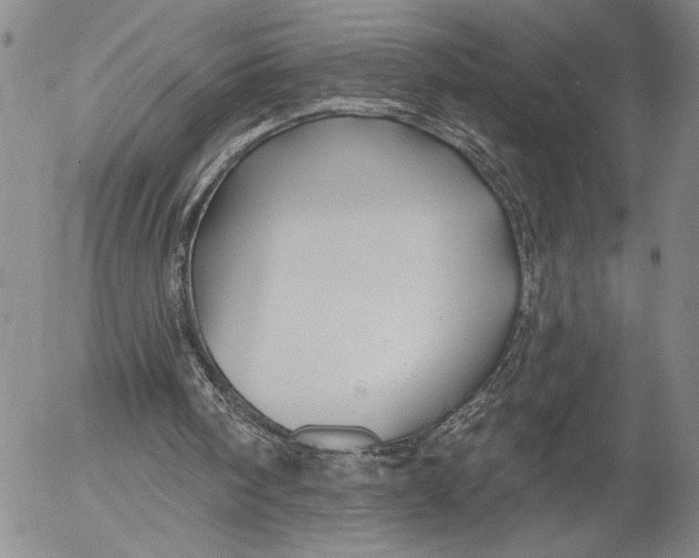 X0000052980098200507291602