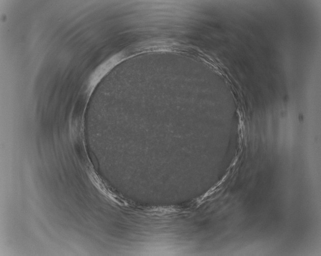 X0000052980099200507291602