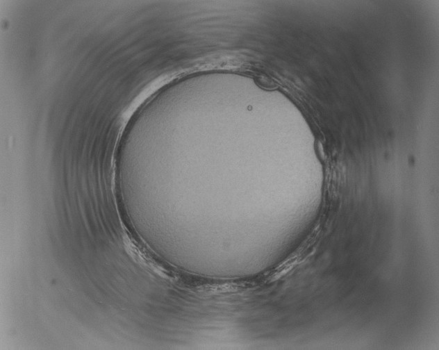 X0000052980100200507291602